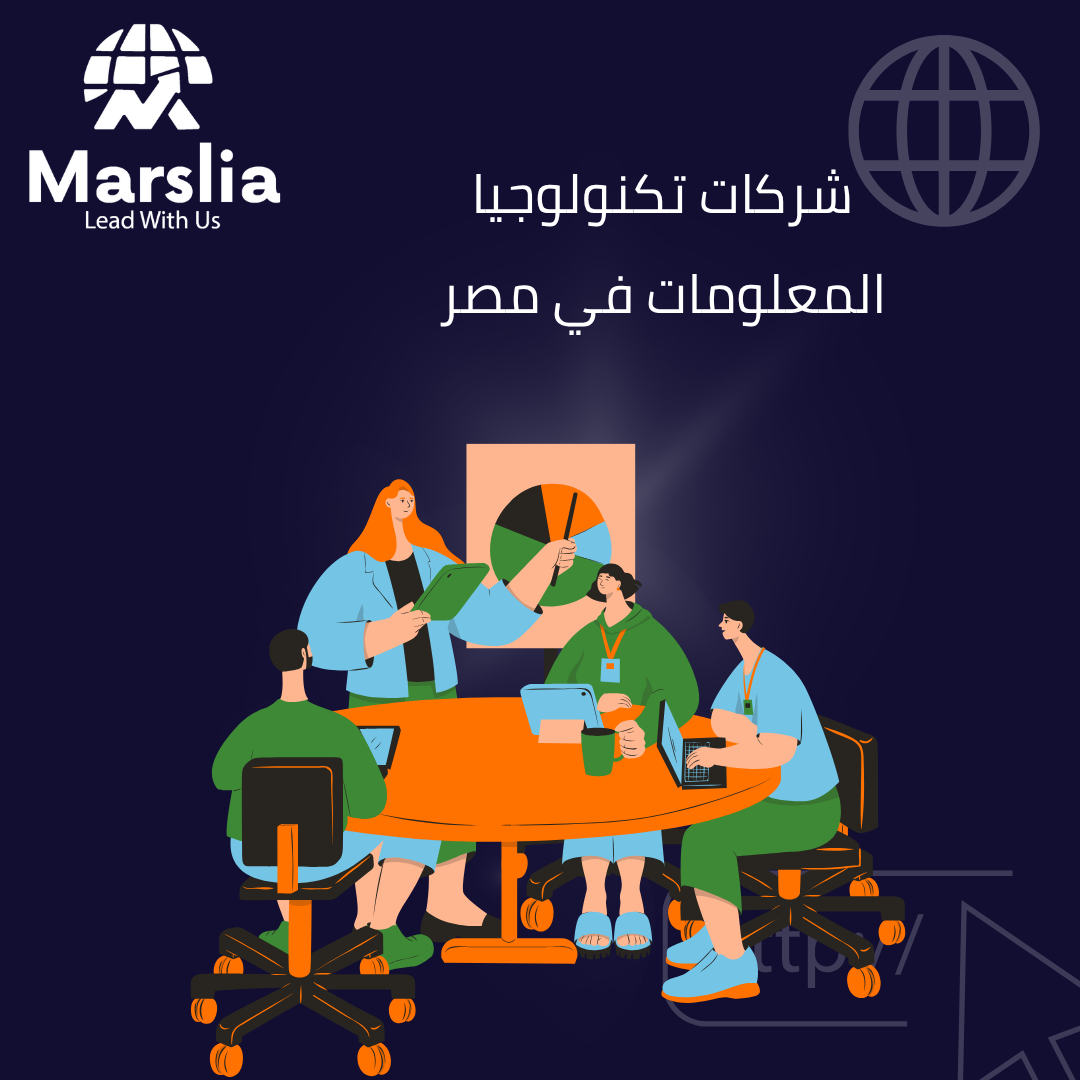 دليل أسماء شركات تكنولوجيا المعلومات في مصر: خريطتك لاختيار الشريك التقني الأمثل 2026