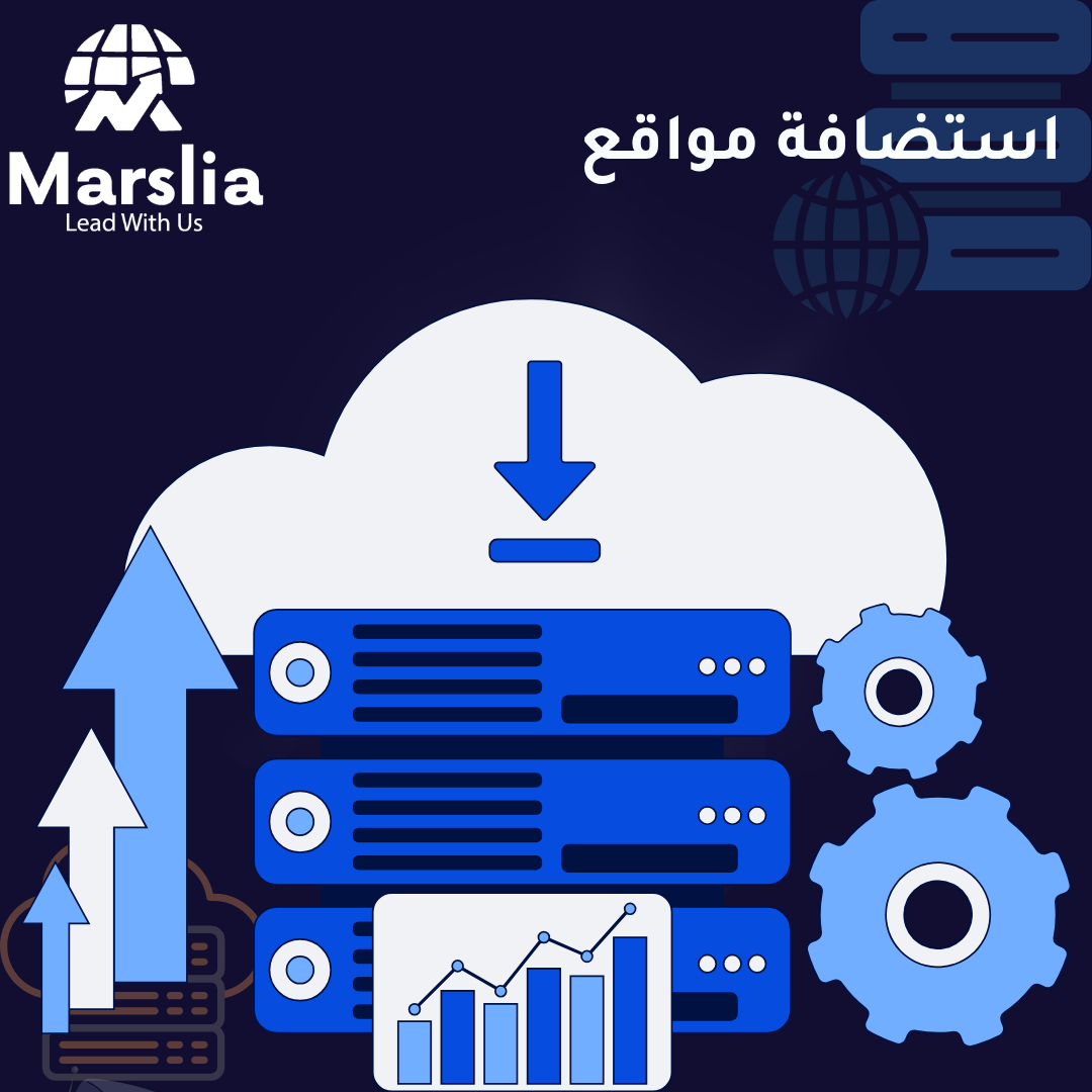 استضافة المواقع فى مصر Web Hosting: الدليل التقني الشامل للمبتدئين والمحترفين 2026